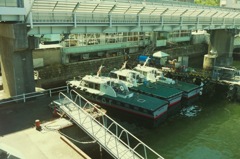 横浜 水先案内人協会