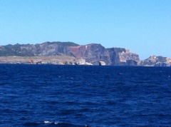 ♡ロック 父島