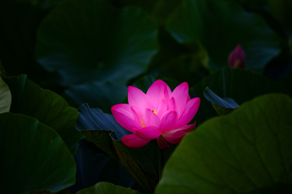 目覚めの時