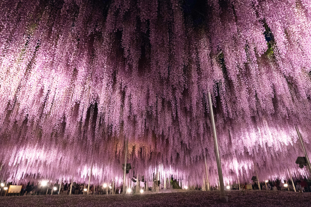 ふりそそぐ愛