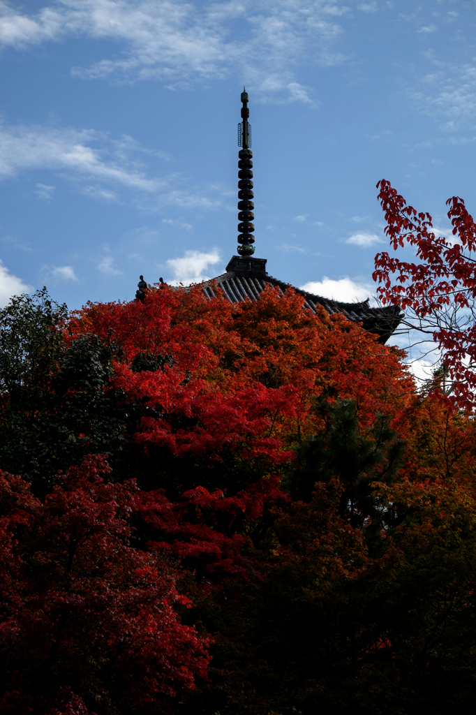 2014紅葉-5