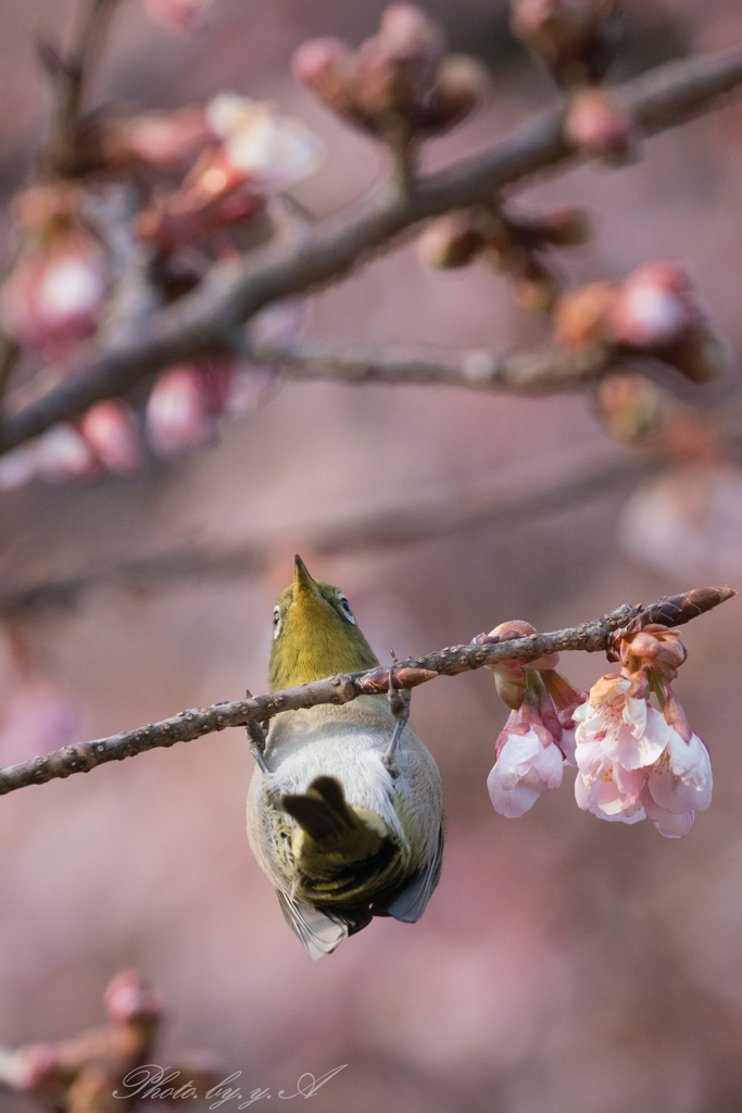 よいしょっと