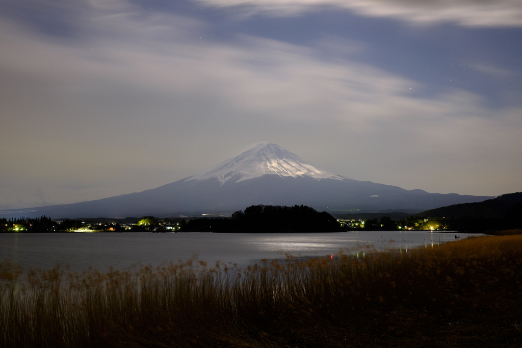 月光に照らされて