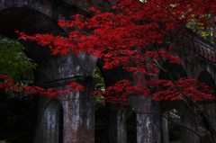 2014紅葉-6