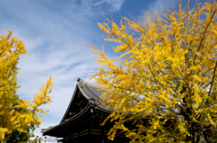 2014紅葉-8