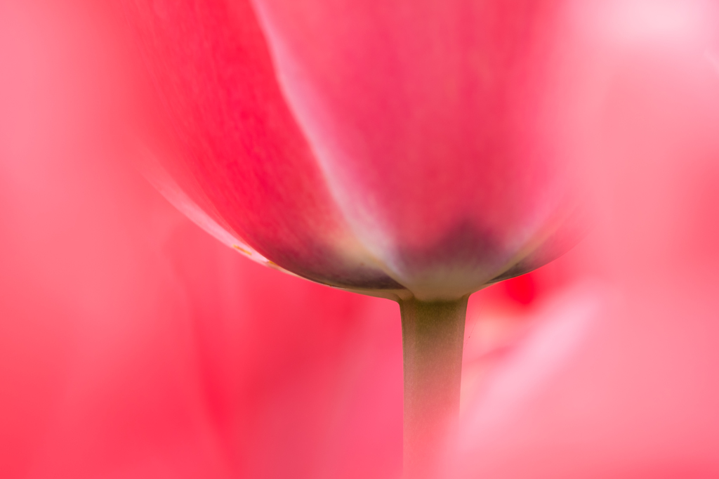 ワイングラスアゲイン