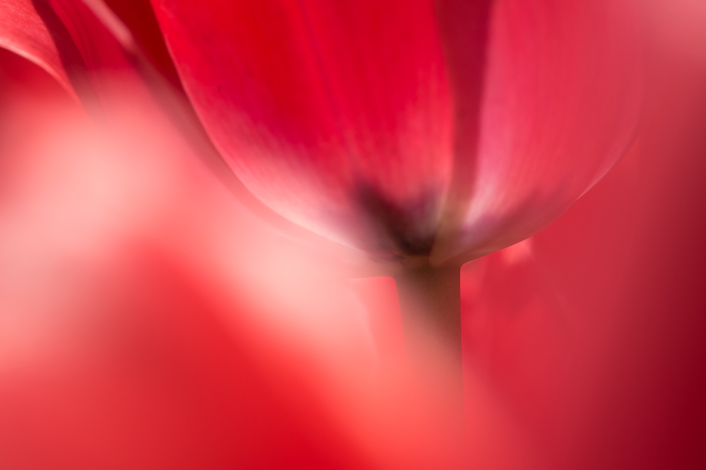 ワイングラスアゲイン２