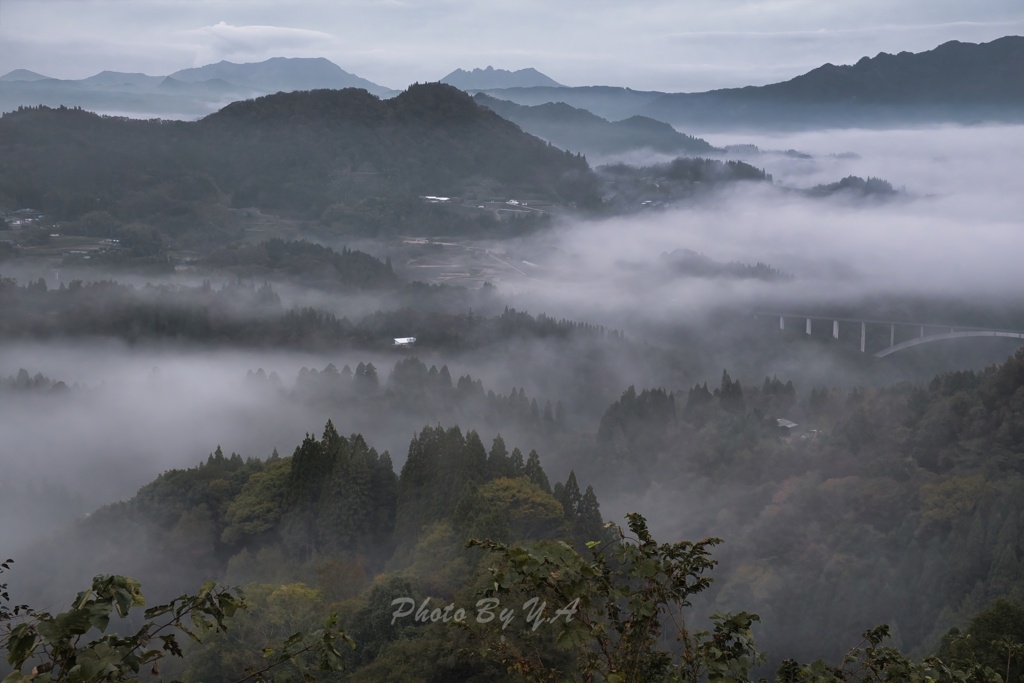 淡い雲海