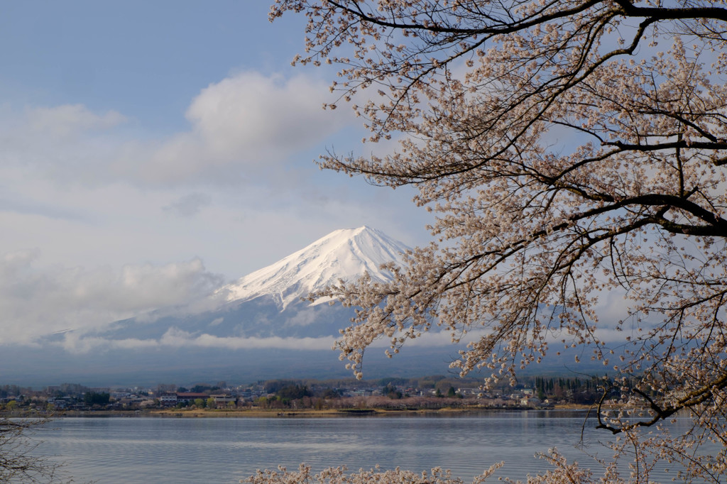 久しぶりの富士