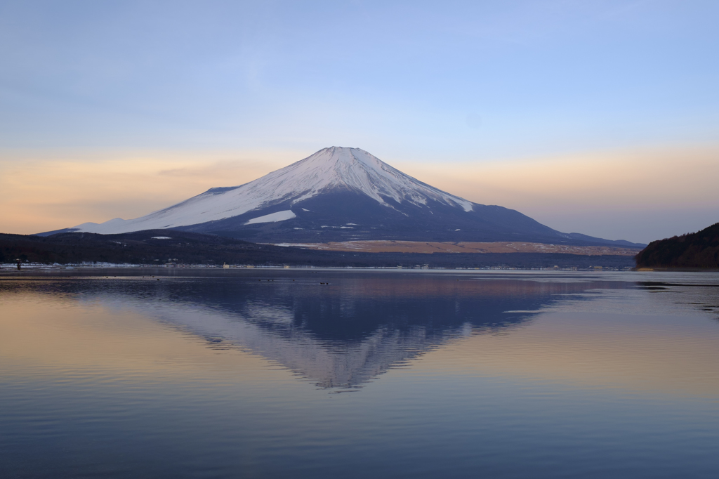 富士に見惚れて