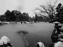 冬の兼六園