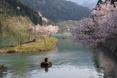 庄川