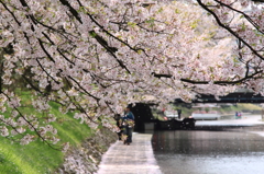 松川べり