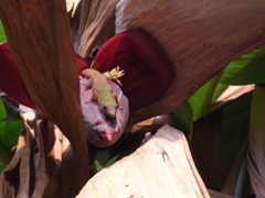 R0011087