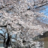 2011-04-04 002