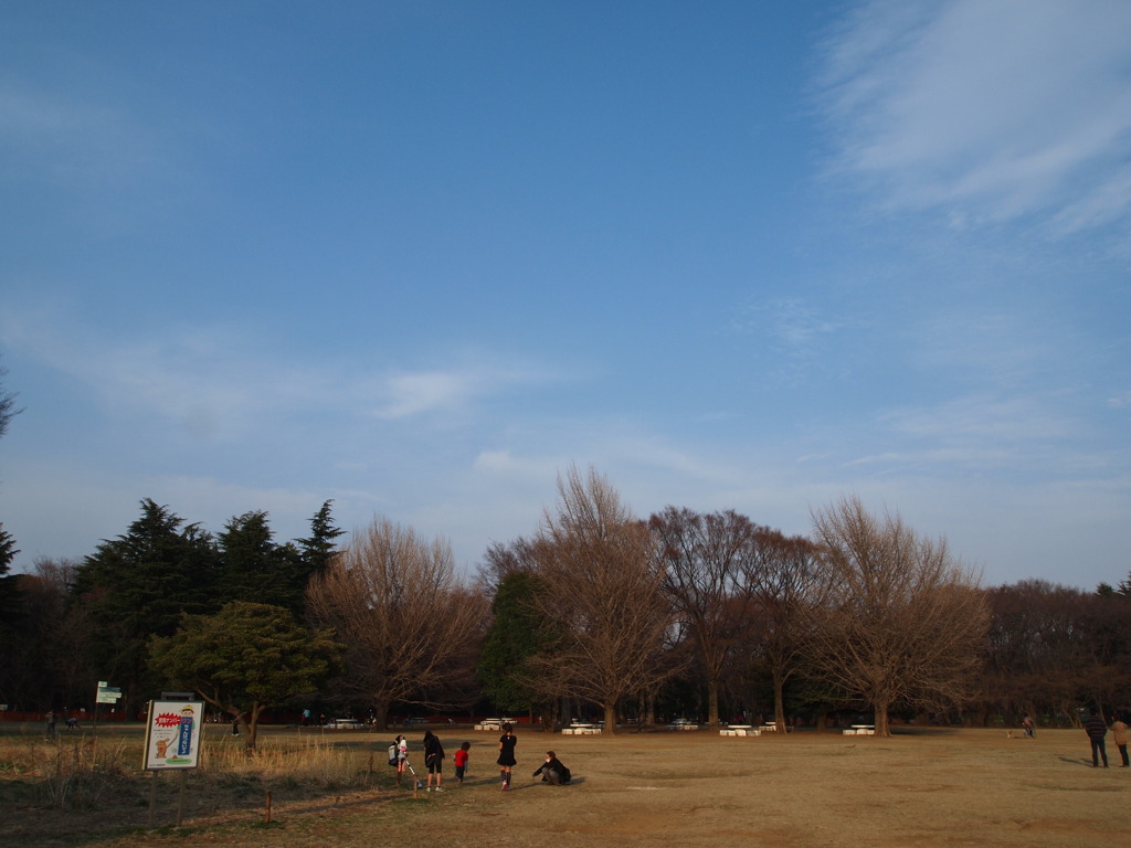 2011-03-20 075
