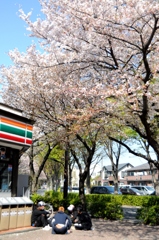 7、少年、桜