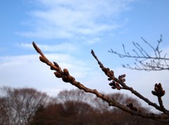 2011-03-20 081