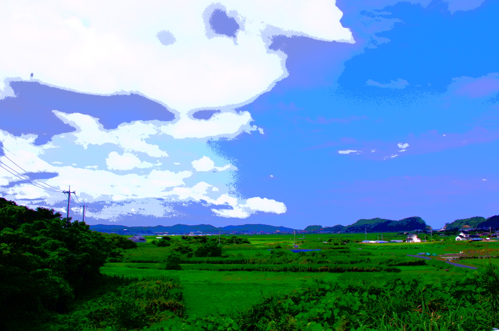 夏