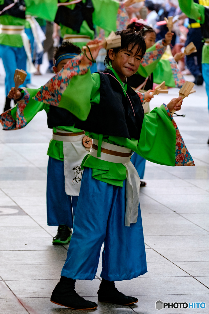 よさこい祭り 2016