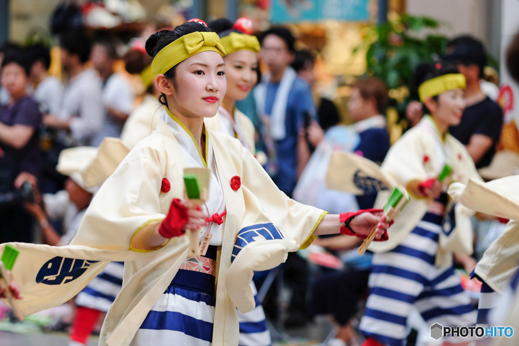 よさこい祭り 2016