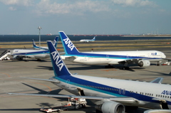 ANAづくし