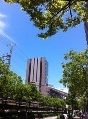 今日の青空