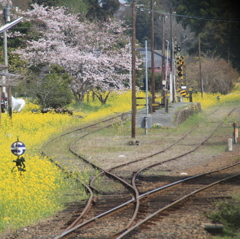 小湊鉄道