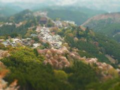 吉野山２