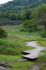 意味わからない橋