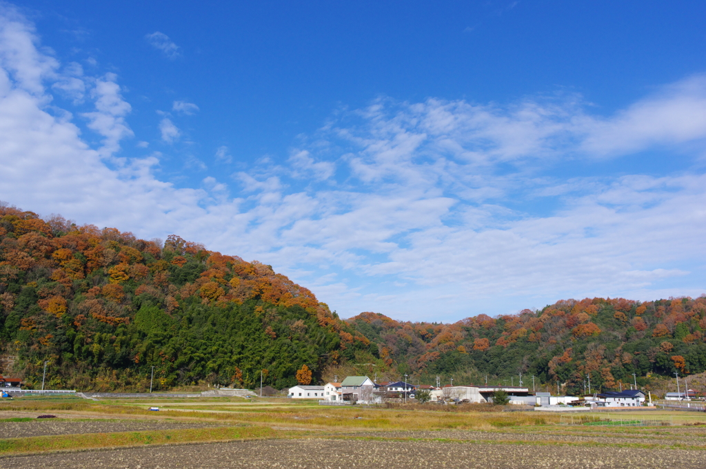 散歩しましょう。