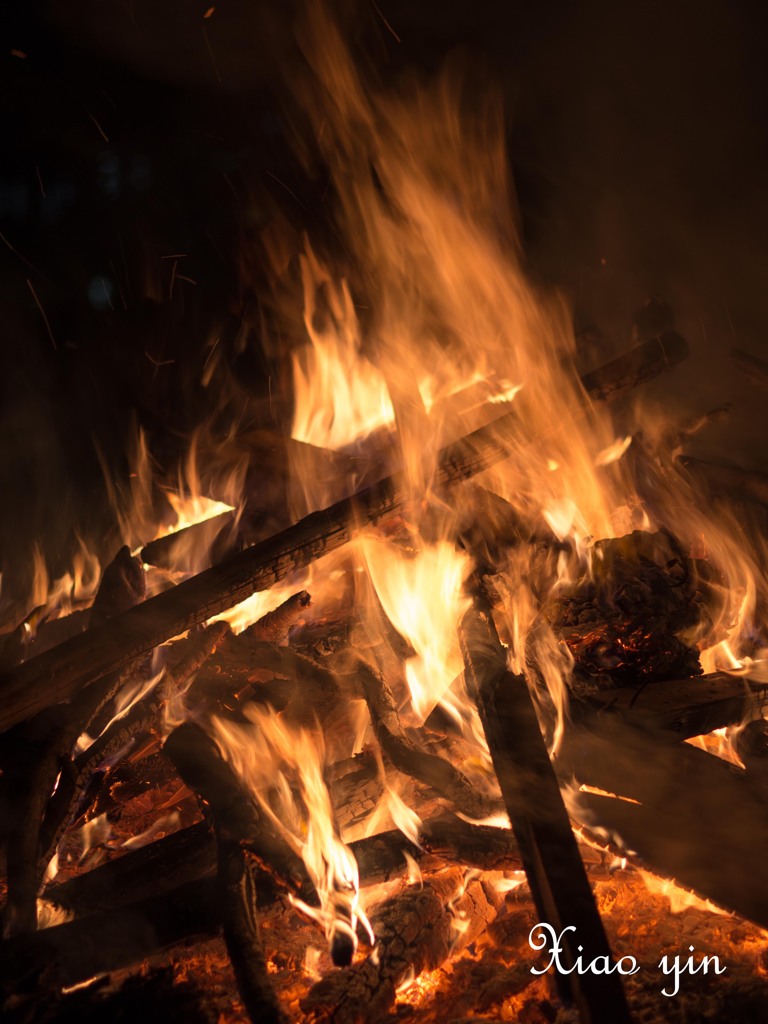 初詣だが、カメラ携行。