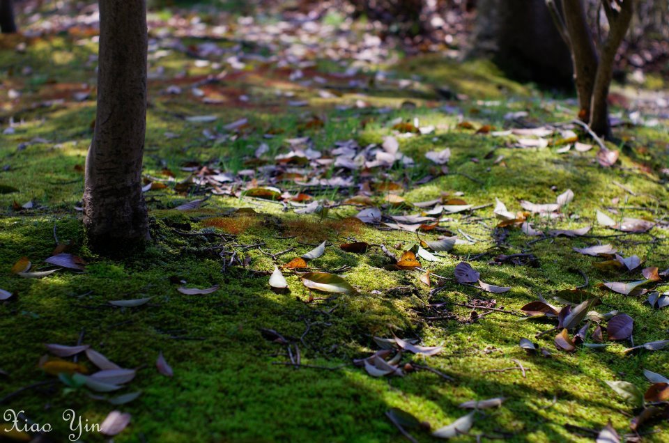 至る所に春が来ている
