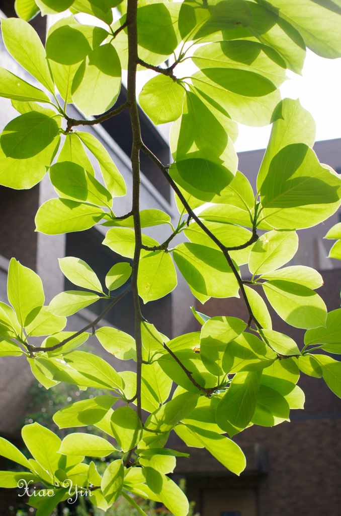 毎日目にする物には感動がある