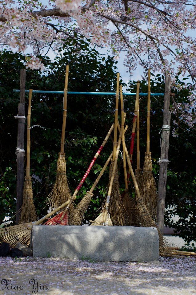 まだ出番じゃない