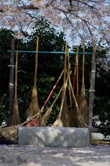 まだ出番じゃない