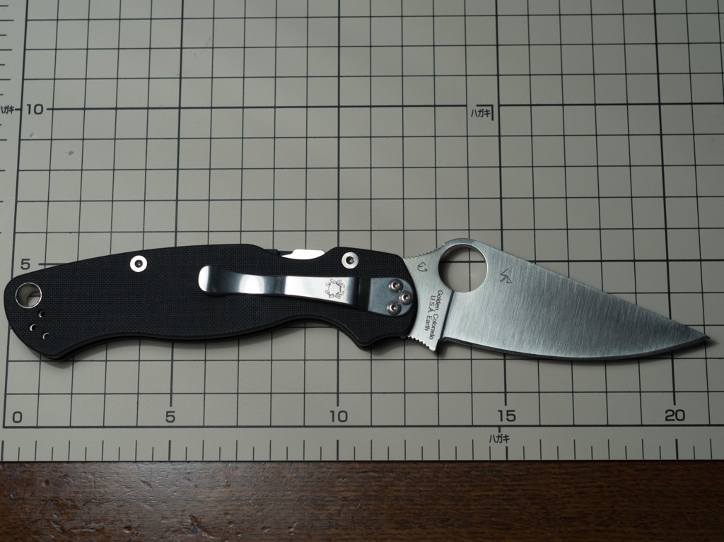 IMGP0549