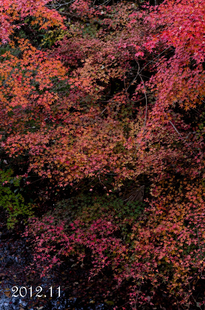 _YIN0037