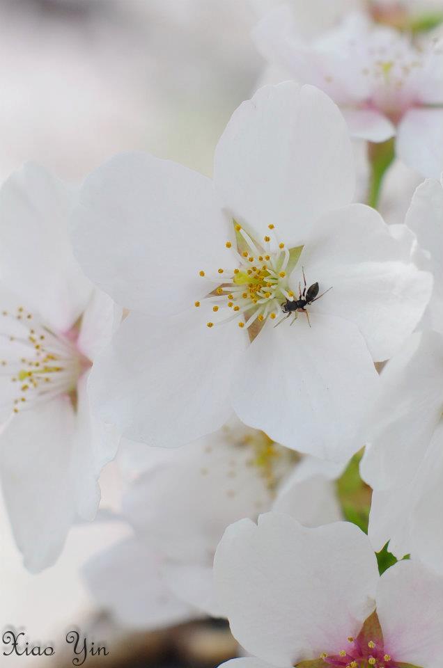ちょっとした旅行