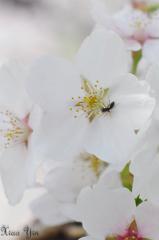 ちょっとした旅行