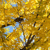 IMGP0054
