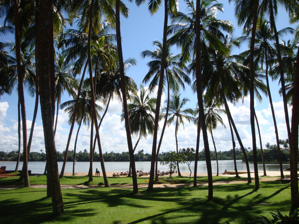 スリランカ・カニランカ　リゾート＆スパ２