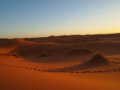 果てしなく続くサハラ砂漠