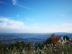 秦野