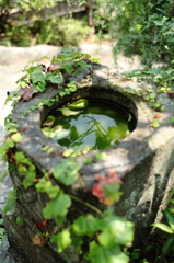 鎌倉