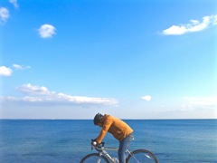 海を走る夢