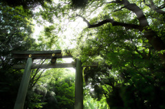 日差し