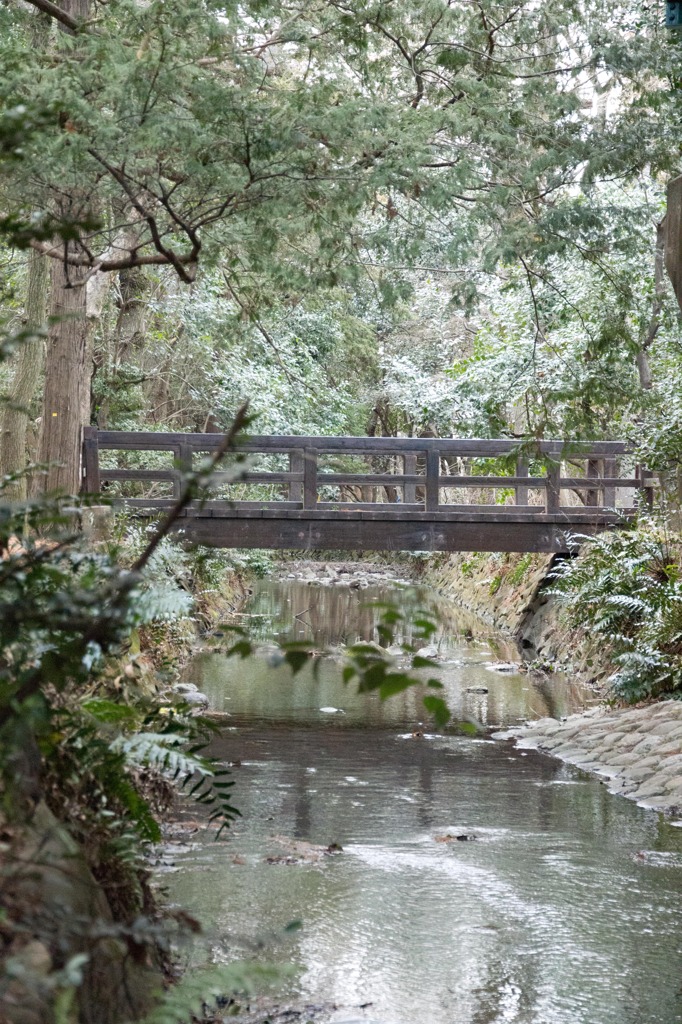 どこか懐かしい