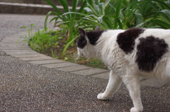 港の見える丘公園にて_2