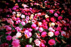 FxCam_1303044387173